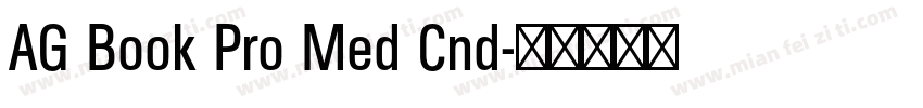 AG Book Pro Med Cnd字体转换